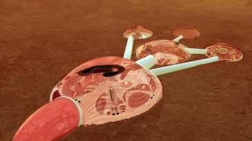 Эмираты объявили о проекте строительства первого мини-города на Марсе