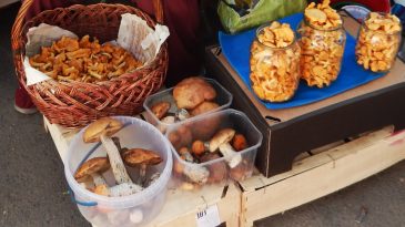 В Бресте на рынке «Центральный» грибов, яблок и меда куда меньше прошлогоднего