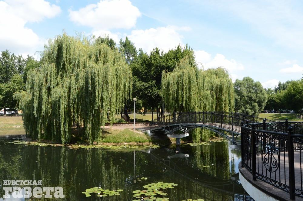 Парки бреста. Брест парк. Граевский парк Брест. Парк первого мая Брест. Парк культуры и отдыха Брест.