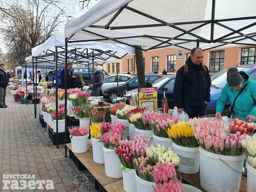 Где В Магазине Купить Тюльпаны Мурино