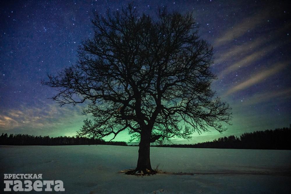 Виктор Малыщиц, Брест, фотовыставка, Брестская газета