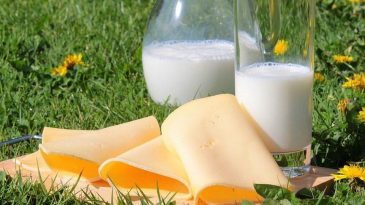 Беларуские власти разрешили торговле поднять цены на молоко и молочные продукты
