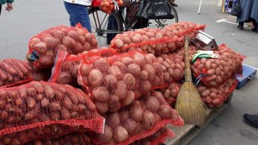 Капуста подорожала в два раза, а картошки купили на 404 тонны меньше. Итоги октябрьских ярмарок в Бресте