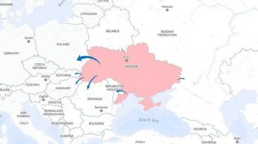 Всего 0,24% беженцев из Украины прибыло в Беларусь. Это самый низкий показатель среди стран-соседок