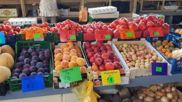 Абрикосы – на 83%, дыня – на 71%, помидоры – на 50%. Сравнили цены на Брестском рынке за 2021 и 2022 годы