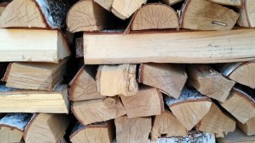 Европу согреть могут, а своих граждан нет? В Пинском районе волонтеры закупают дрова для малоимущих сельчан