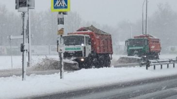 Политзаключенную лишили родительских прав, рекордное количество снега: Что произошло в Бресте и области 12 декабря