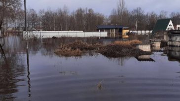 Прослушка телефона Величкина, снижение уровня воды в Мухавце и Буге: Что произошло в Бресте и области 2 февраля