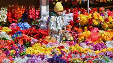 «Чтобы люди видели». Почему беларусы несут искусственные цветы на кладбище и чем их можно заменить