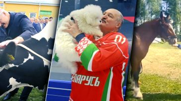 Лукашенко и его питомцы: что скрывается за образом крепкого хозяйственника и любителя животных 