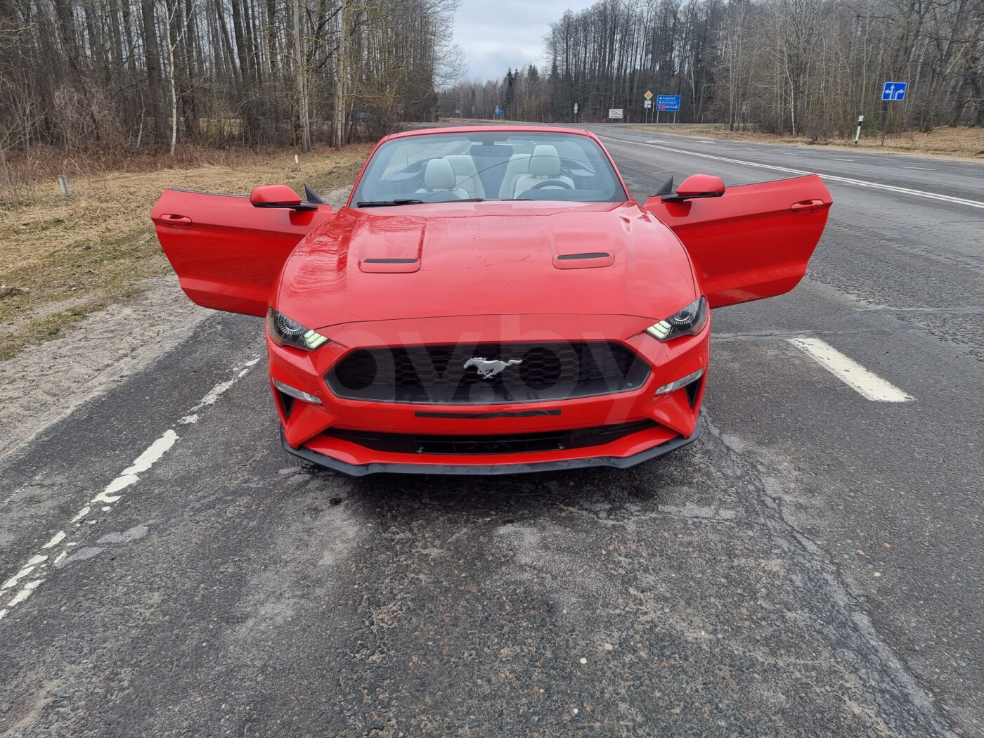 Ford Mustang VI за 29 999$. Фото: av.by.