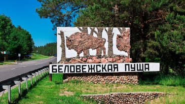 В Беловежской пуще начали ремонт вольеров, рапортуют власти и обещают ряд других перемен в заповедной зоне