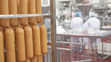 Продажа колбасного завода известной фирме, пружанца подозревают в педофилии: Что произошло в Бресте и области 6 июля