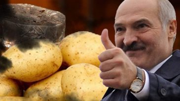 Имидж картофельной страны – все? В 2022 году Беларусь заняла второе место по покупке российских чипсов