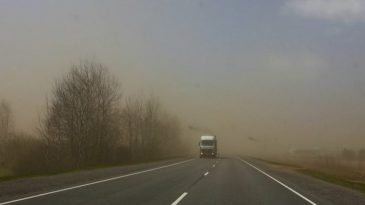 Эколог: «За 45 лет в Беларуси было зафиксировано около 350 пыльных бурь, в основном на Полесье»
