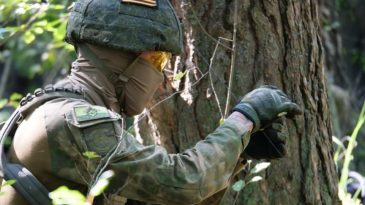 Задержание вернувшегося из Европы кобринчанина, тренировки десантников: Что произошло в Бресте и области 9 августа