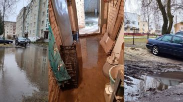 «‎Коммунальные службы не реагируют на жалобы»‎: в Дрогичине вода затопила стоянку и подвал многоэтажки