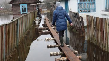 «За 40 лет жизни здесь впервые вижу такое наводнение»: в Ивацевичском районе жители борются с подтоплением