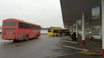 Брутальное задержание врача «ЛОДЭ», отмена автобуса Барановичи — Вильнюс: что произошло в Бресте и области 2 февраля