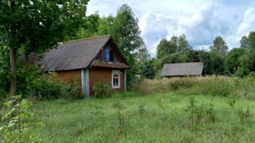 Чиновница из Иваново предложила ужесточить закон по наведению порядка в отношении наследников пустующих домов 