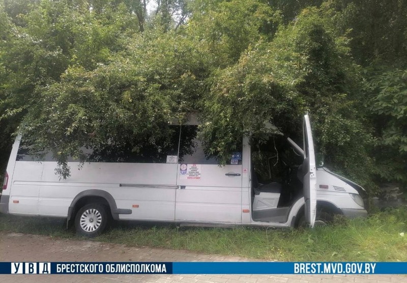 ДТП в Бресте 6 июня 2024 года. Фото: УВД Брестского облисполкома