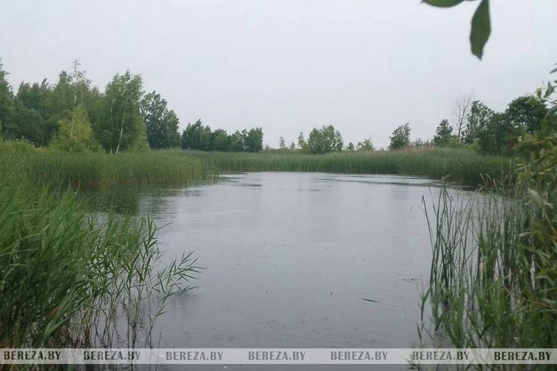 Водоем возле деревни Залужье в Березовском районе. Фото: bereza.by