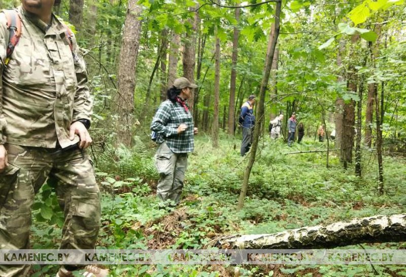 Поисковые отряды, волонтеры, сотрудники МЧС и МВД, местные жители прочесывают лесной массив в поисках пропавшей девочки. Фото: Kamenec.by.