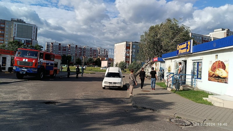 Поваленное дерево на улице Сябровской в Бресте