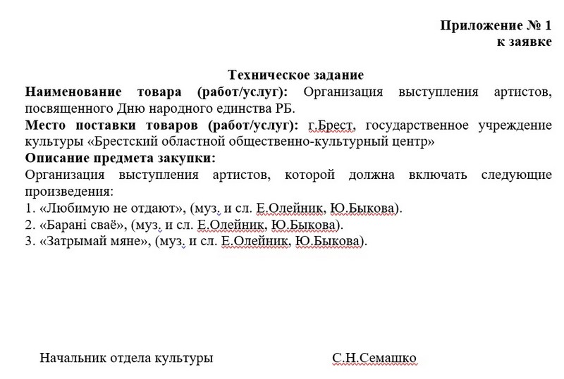 Техническое задание на выступление группы Аура. Скриншот документа на сайте госзакупок