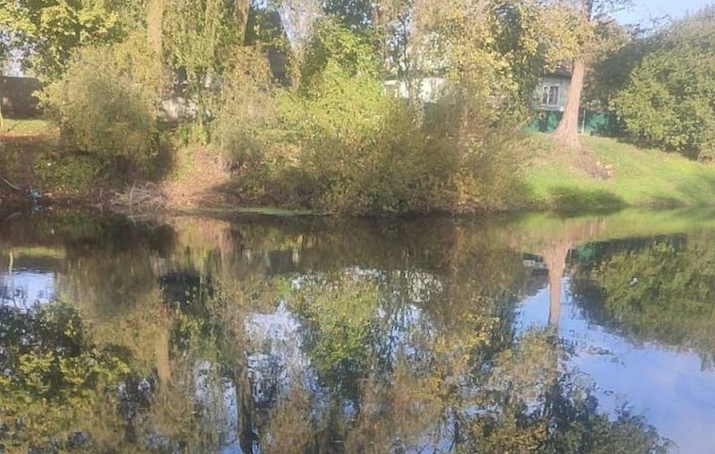 Озеро Сешка в Давид-Городке, где утонул мужчина. Фото: МЧС