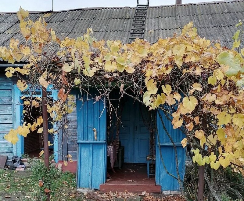 Родительский дом Алексея Диковицкого. Фото из его личного архива