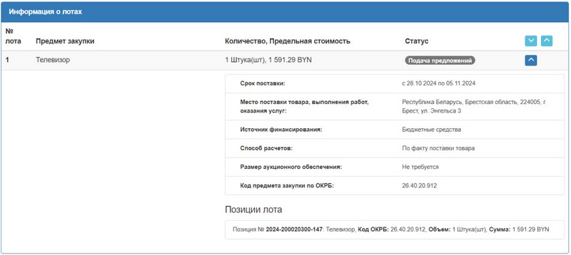 Тендер Брестского горисполкома на телевизор. Скриншот сайта госзакупок