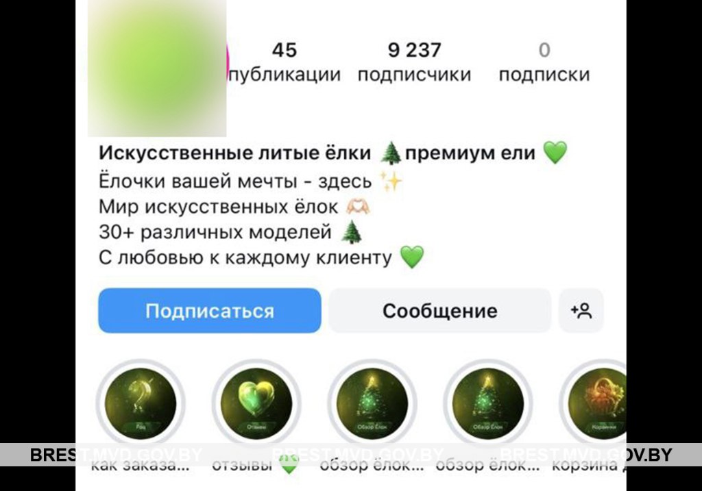 Скриншот с Instagram-аккаунта мошенников, продающими новогодние елки. Источник: «Крепость».