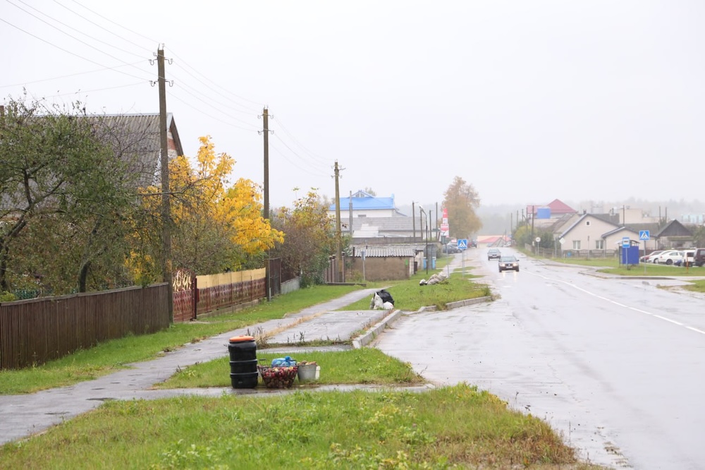 Мусор на одной из улиц в Ляховичском раойне Брестской области. Фото: lves.by.