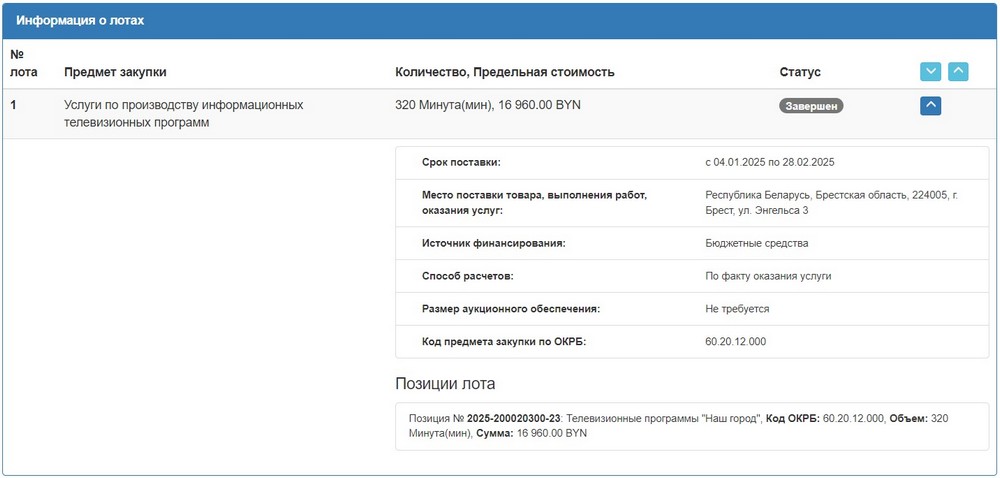 Тендер Брестского горисполкома на программу «Наш город» в 2025 году. Скриншот сайта госзакупок