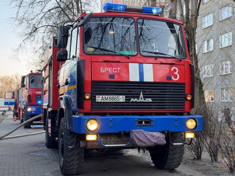 Пожарные машины на ликвидации пожара на брестском рынке «Юбилейный» на Московской. Фото: МЧС.