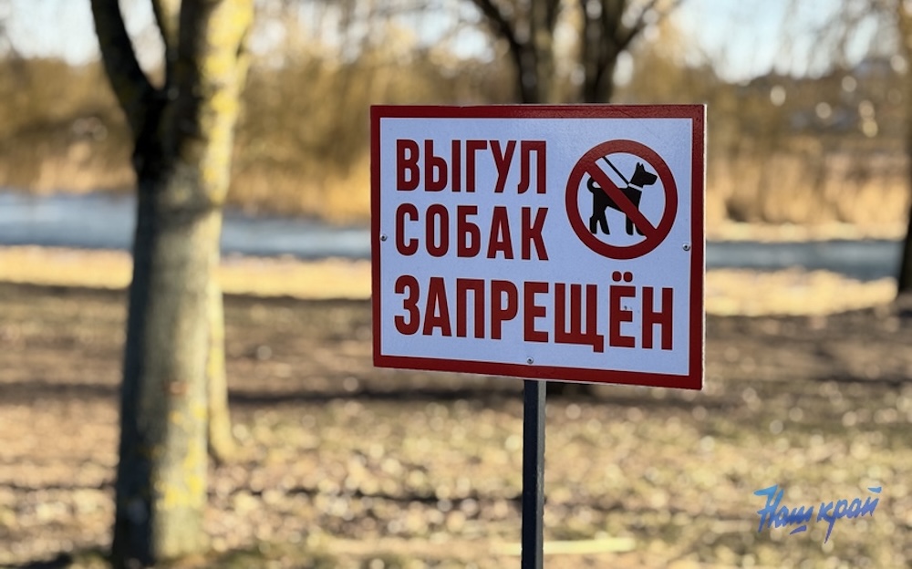 Табличка, запрещающая выгул собак на берегу Светиловского озера в Барановичах. Фото: «Наш край».