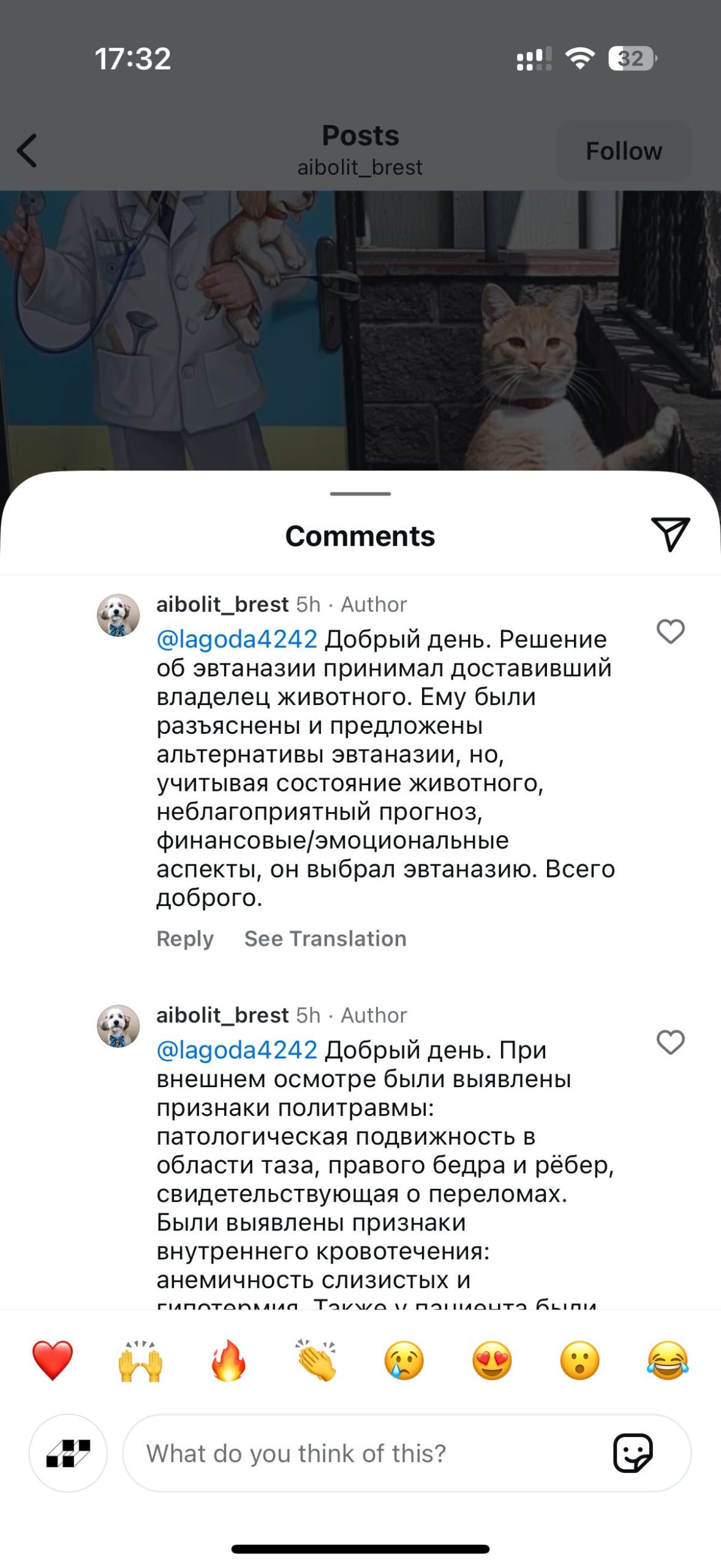 Скриншот комментария ветклиники «Айболит» в Instagram, который заскринила пользовательница.