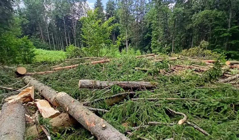 Место происшествия в Барановичском районе.