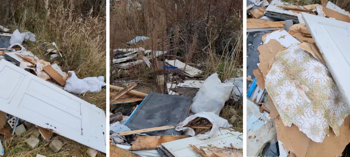 Мусор, Брест, двери, окна