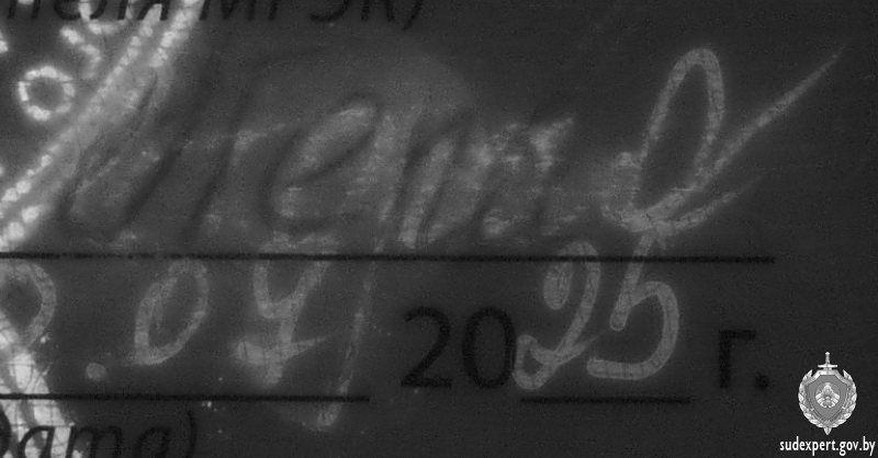 Мужчина подделал удостоверение инвалида. Фото: ГКСЭ