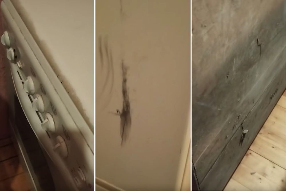 Газовая плита, холодильник и шкаф, которые привезла чиновница в квартиру. Коллаж BGmedia