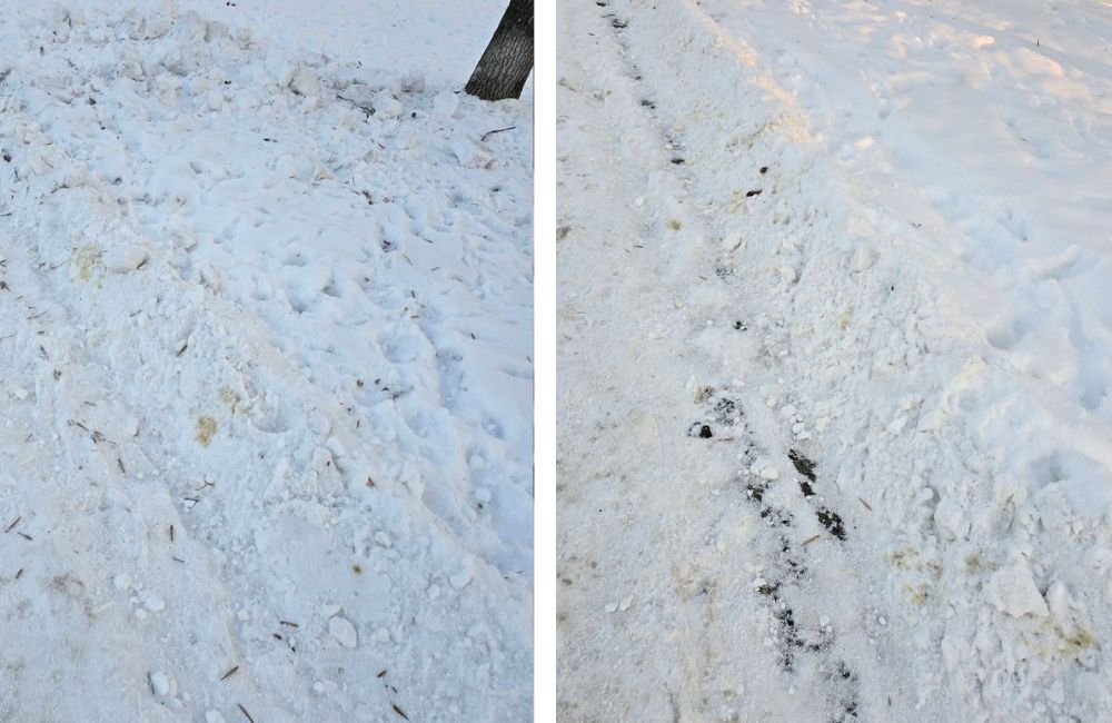 Снег на тротуарах в продуктах жизнедеятельности собак на ул. Советской Конституции в Бресте.