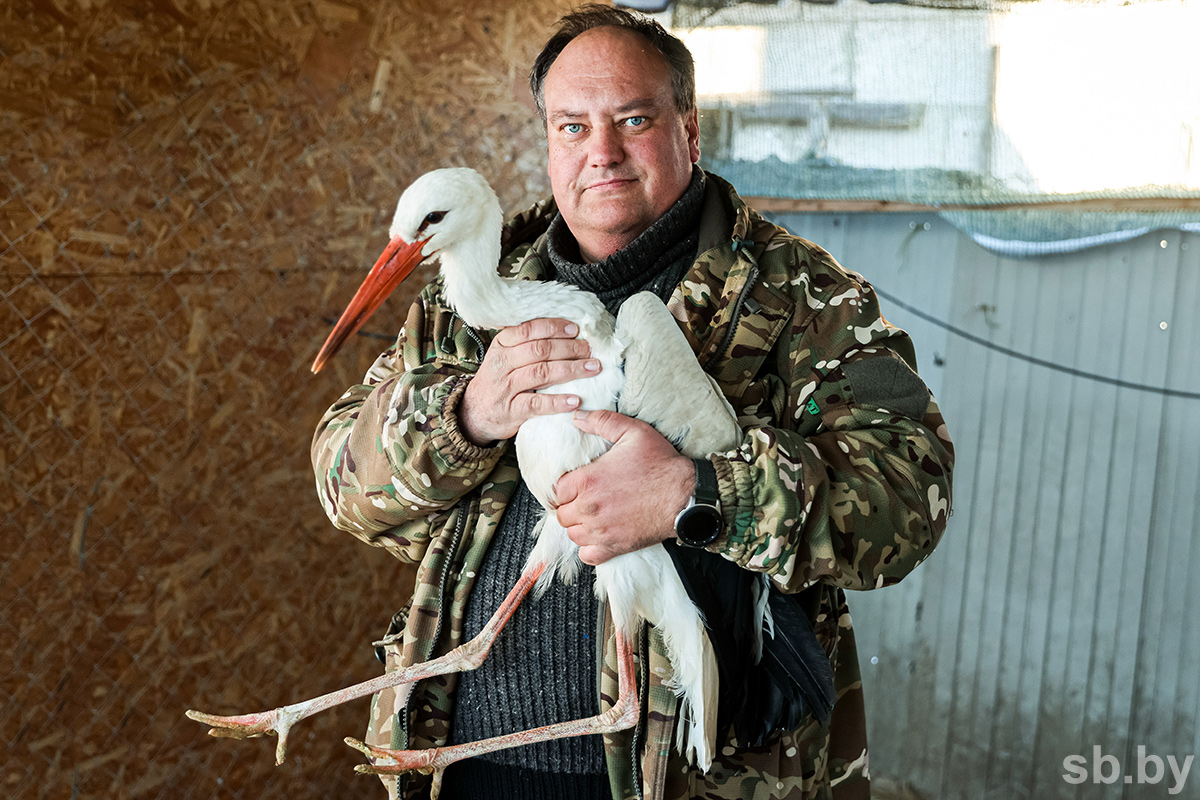 Дмитрий Авдеев с аистом.