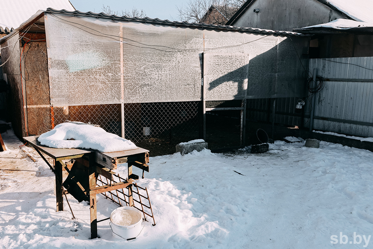 «Дом брестского аиста».