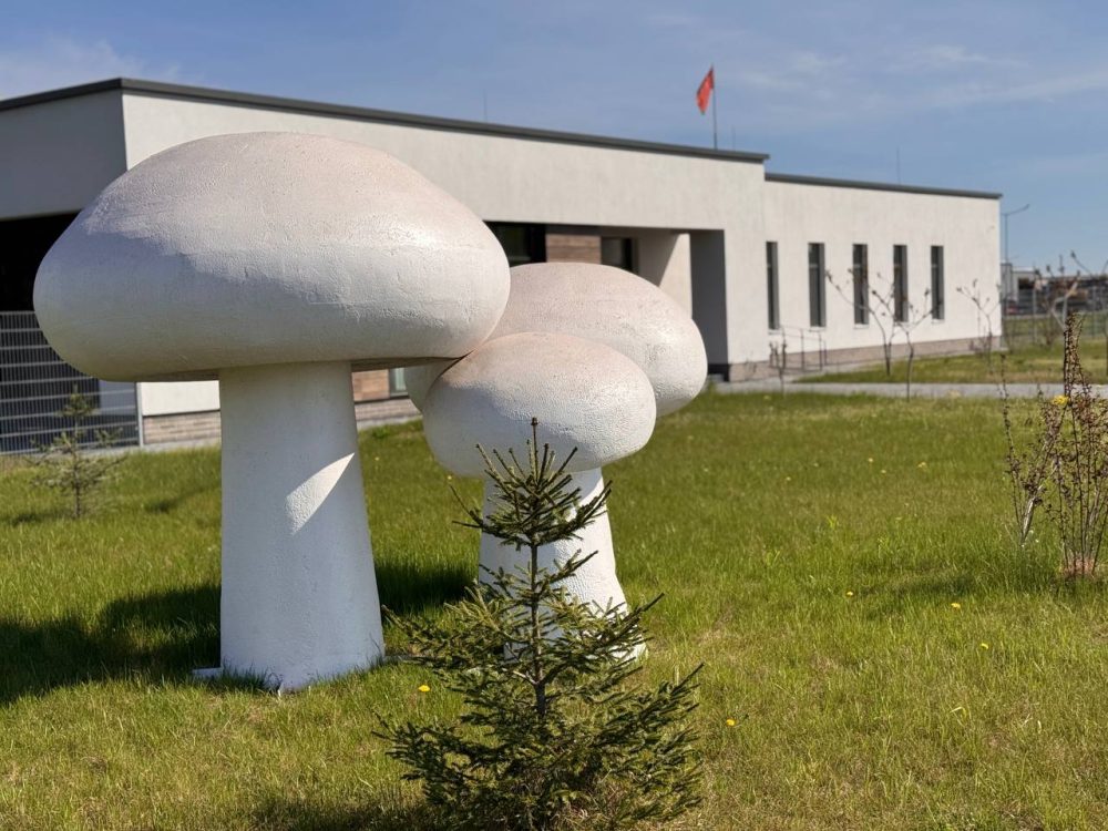 Предприятие «БТВ-Агро» под Кобрином