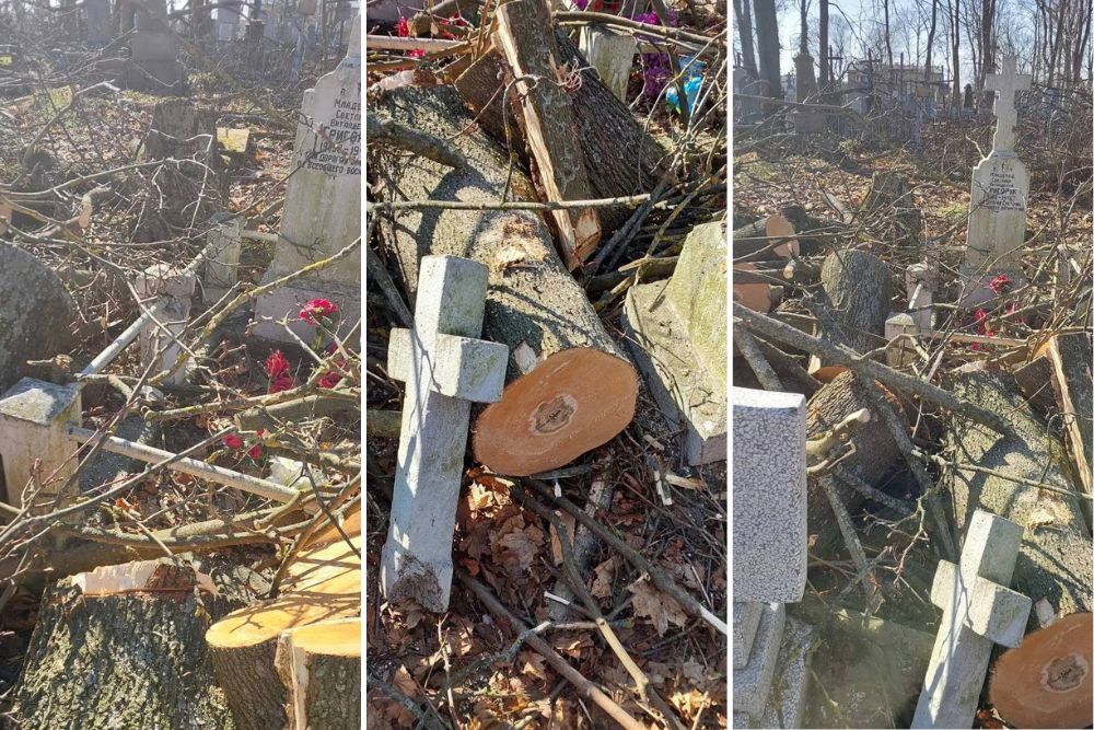 Спиленные деревья и поврежденные памятники на Тришинском кладбище в Бресте. Коллаж BGmedia