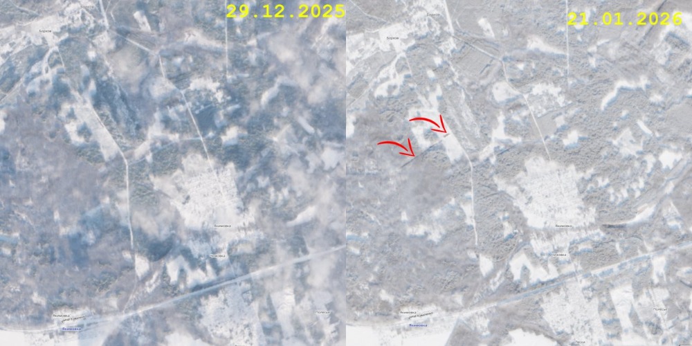 вырубка лесов