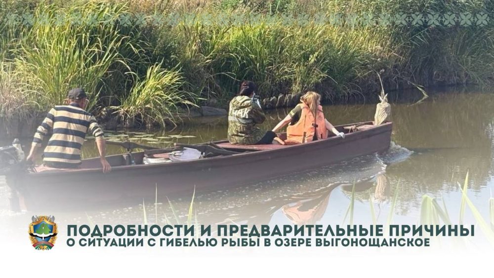 Обследование Выгонощанского озера после появления видео о море рыбы. Фото: Минприроды Беларуси