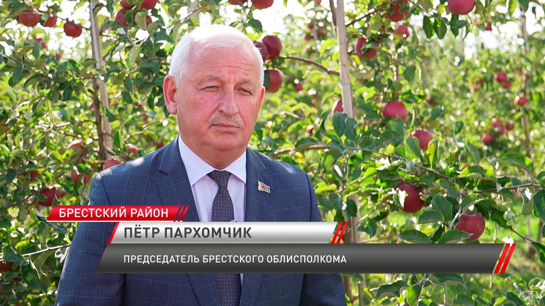 Петр Пархомчик